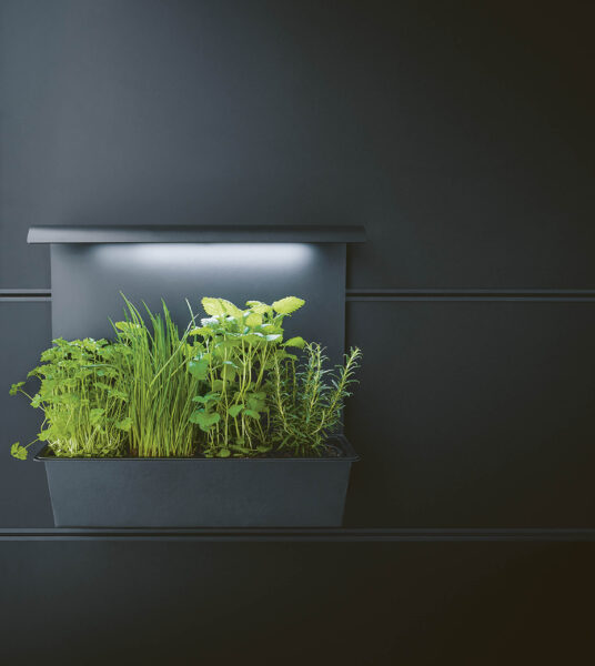 next125_nx870-V187F_nx650-F600_Paneelgarten_HF_next-kuechen_Neustadt_Landau_Karlsruhe