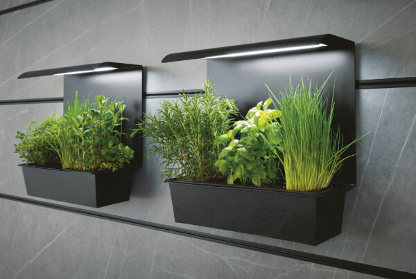 next125_nx950-C2765_nx912-G187_Paneelgarten_HF_next-kuechen_Neustadt_Landau_Karlsruhe