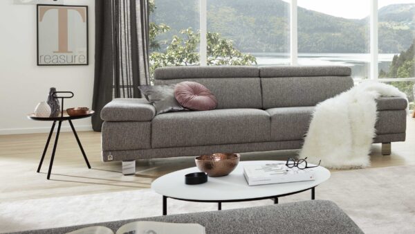 Interliving Sofa Serie 4252 – Zweisitzer 12201